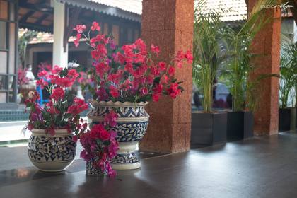 Floral detail and Photo-op — Welcome Lunch decor — Alila Diwa Goa
